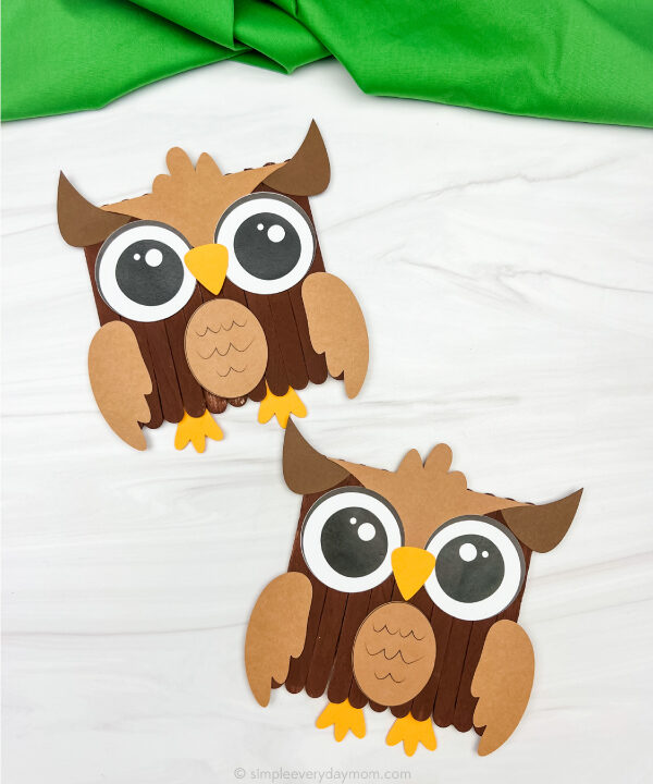 2 owl popsicle stick crafts