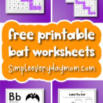 bat worksheet image collage with the words free printable bat worksheets