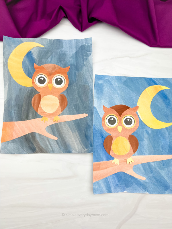 2 watercolor owl art pieces