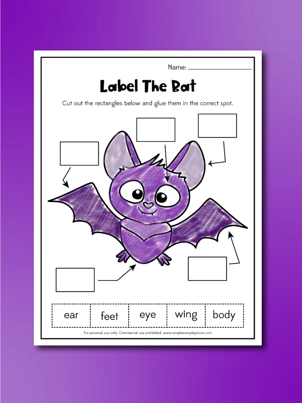 label a bat worksheet for kids