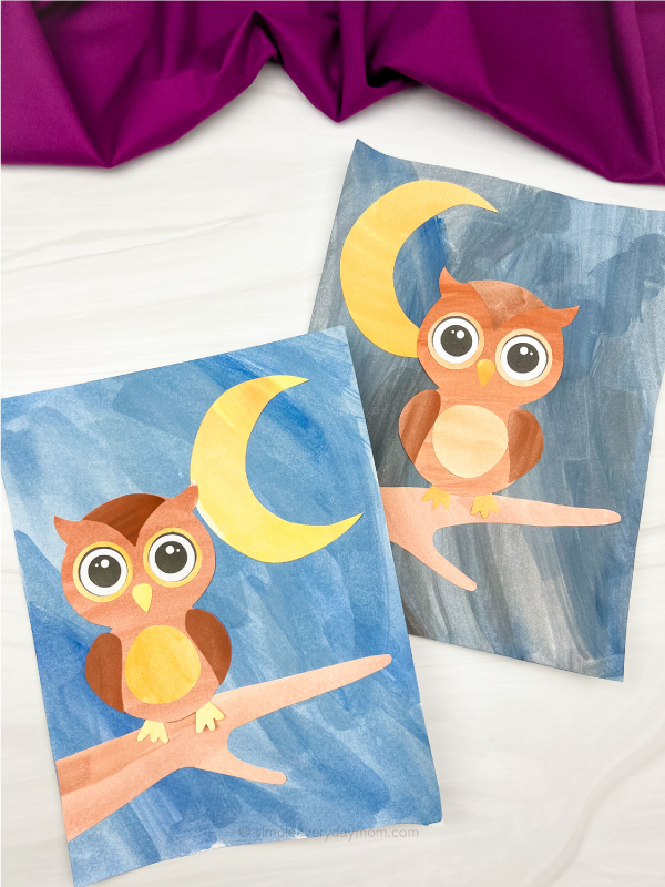 2 watercolor owl art pieces