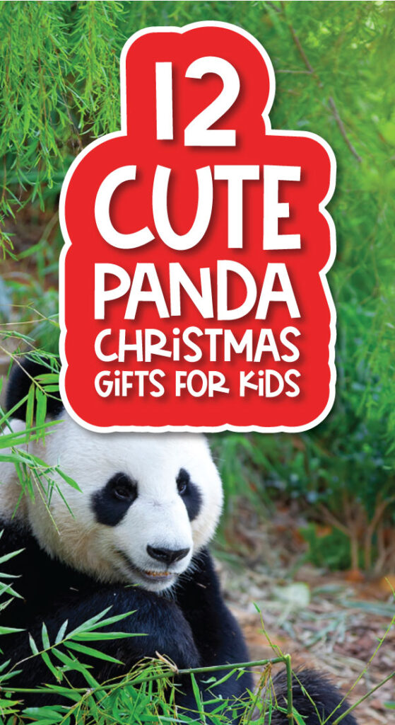 panda background with the words panda Christmas gifts for kids