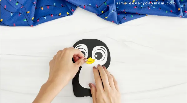 hands placing beak onto penguin face