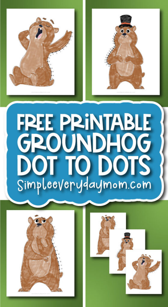 Groundhog Day dot to dot finished example banner image