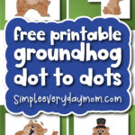 Groundhog Day dot to dot finished example banner image