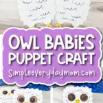 baby snowy owl craft image collage with the words owl babies puppet craft