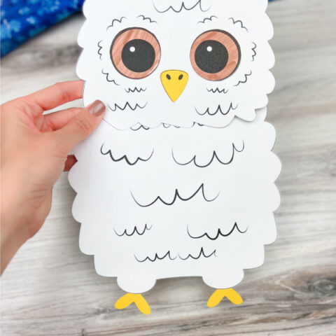hand holding baby snowy owl puppet craft