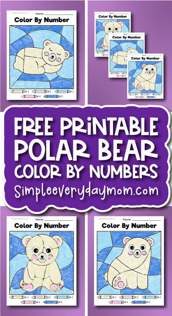 polar bear color by number finished example banner image