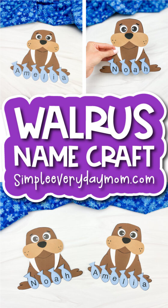 walrus name craft front banner image