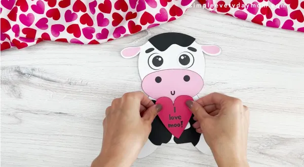 hands placing heart onto body of cow valentine craft
