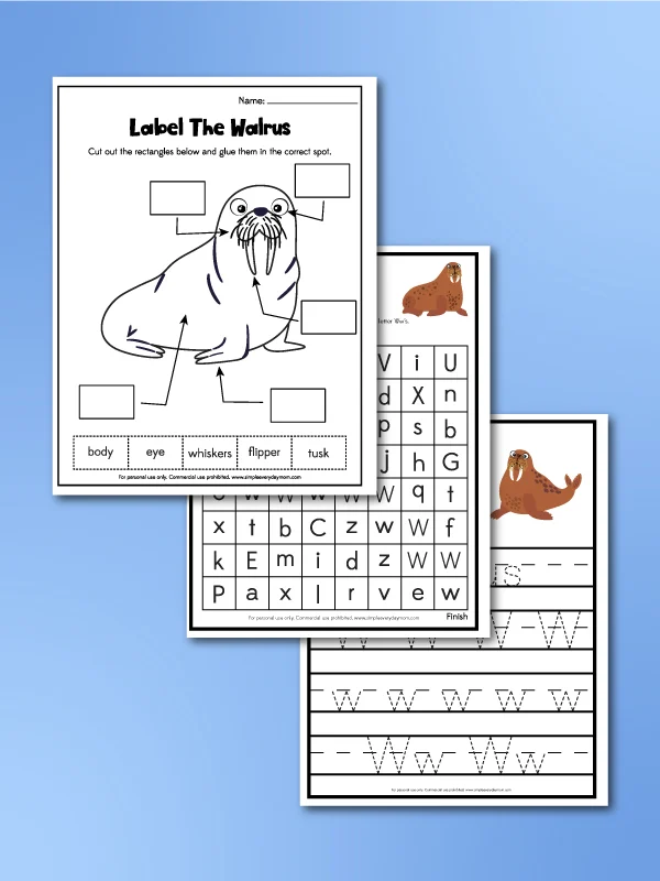 complete walrus worksheets