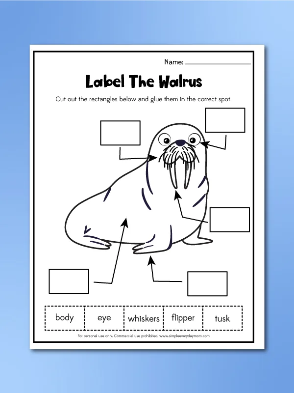 label the walrus worksheet