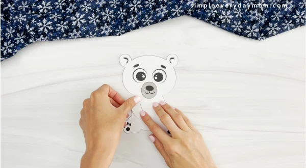 hands assembling arms of polar bear onto body