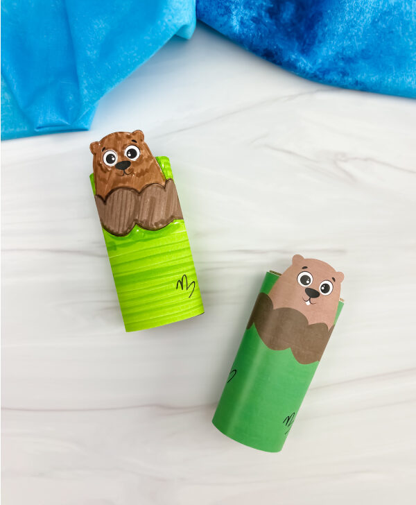 two examples of finished groundhog toilet paper roll craft