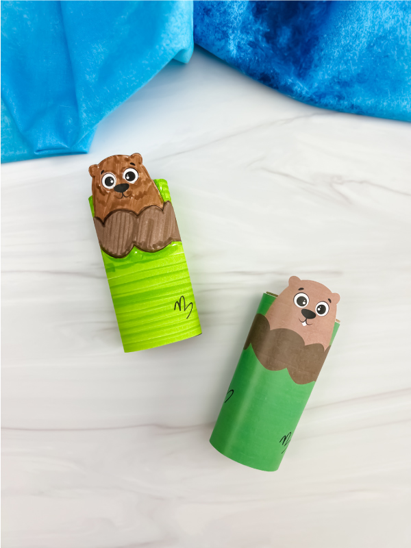two examples of finished groundhog toilet paper roll craft
