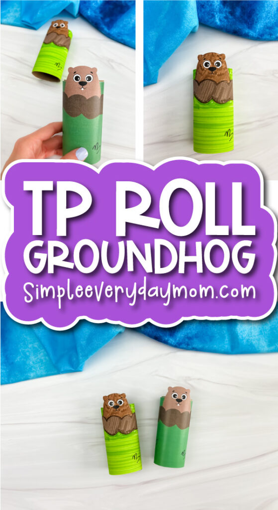 finished groundhog toilet paper roll craft cover image