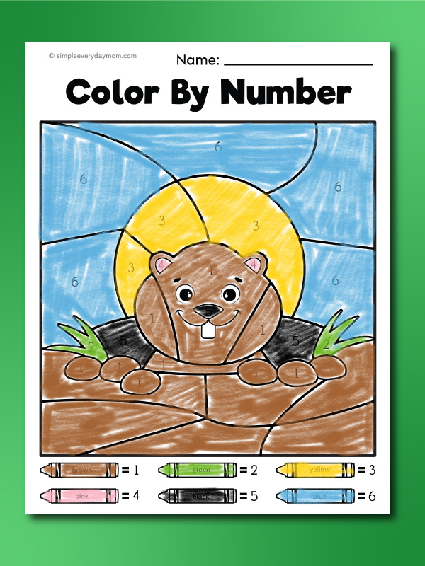 Groundhog Day color by number finished example