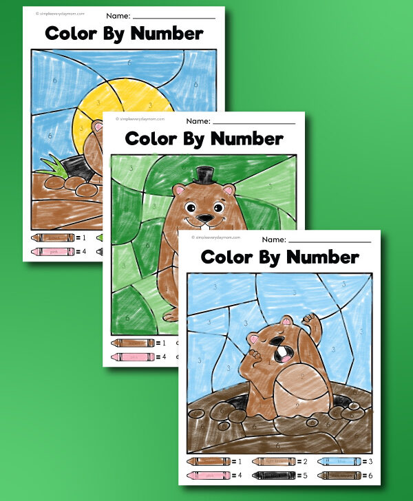 three stacked finished examples of Groundhog Day color by number sheets