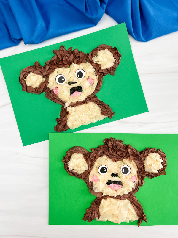 two finished examples of monkey tissue paper craft