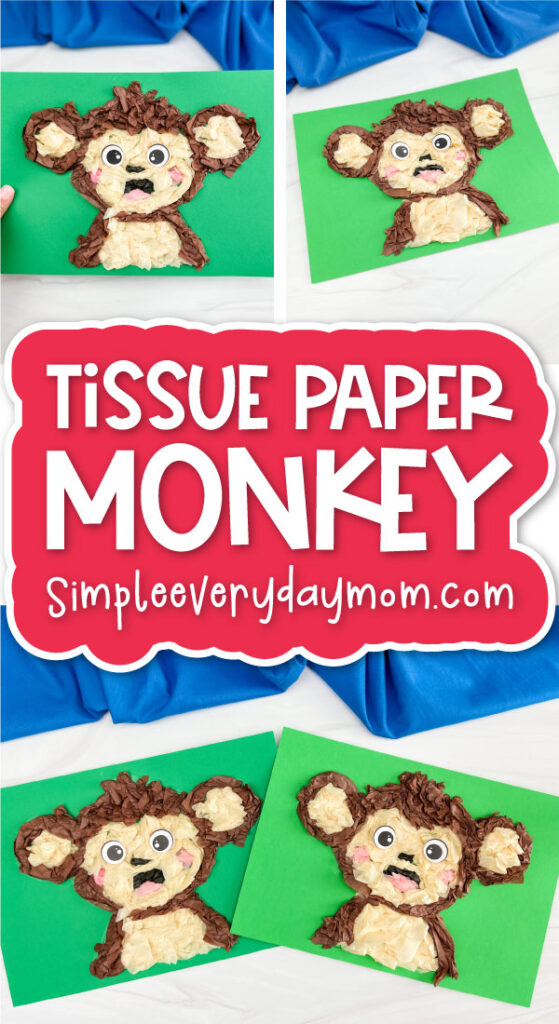 Monkey tissue paper craft cover image