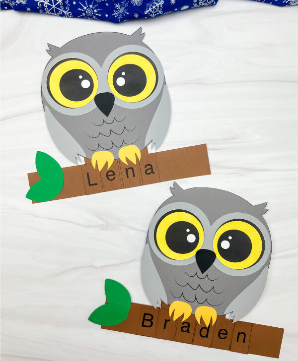 two versions of finished examples of snowy owl name craft