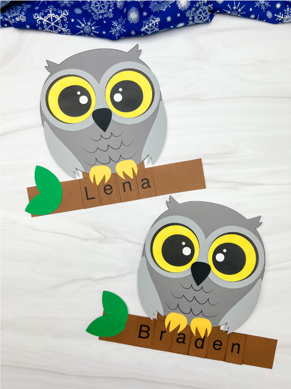 two versions of finished examples of snowy owl name craft