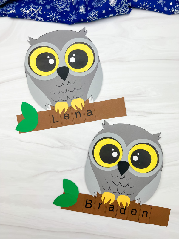Snowy Owl Name Craft For Kids Free Template 
