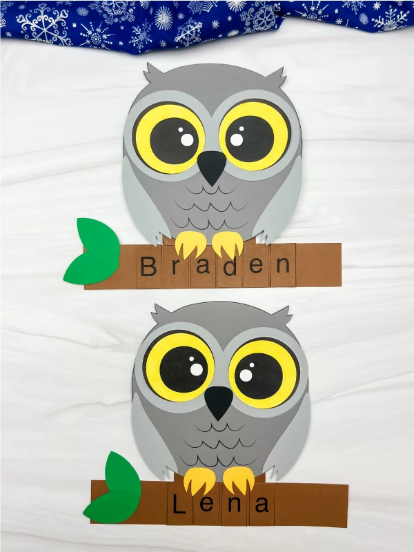 two examples of finished snowy owl name craft