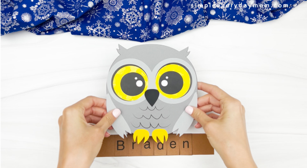 hands placing owl onto branch with name on it