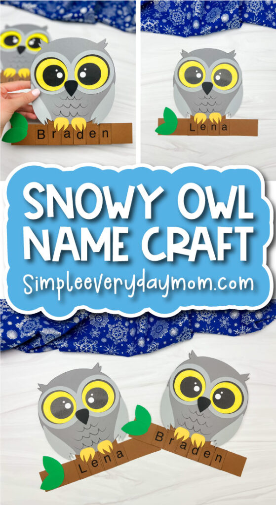 Snowy owl name craft cover banner image