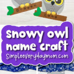 Snowy owl name craft banner image