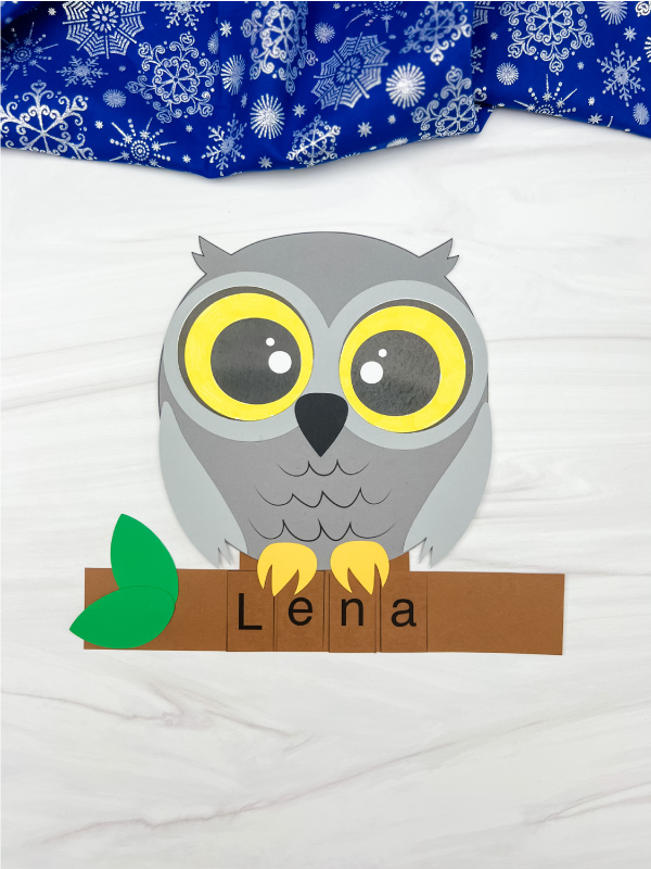 finished example of snowy owl name craft