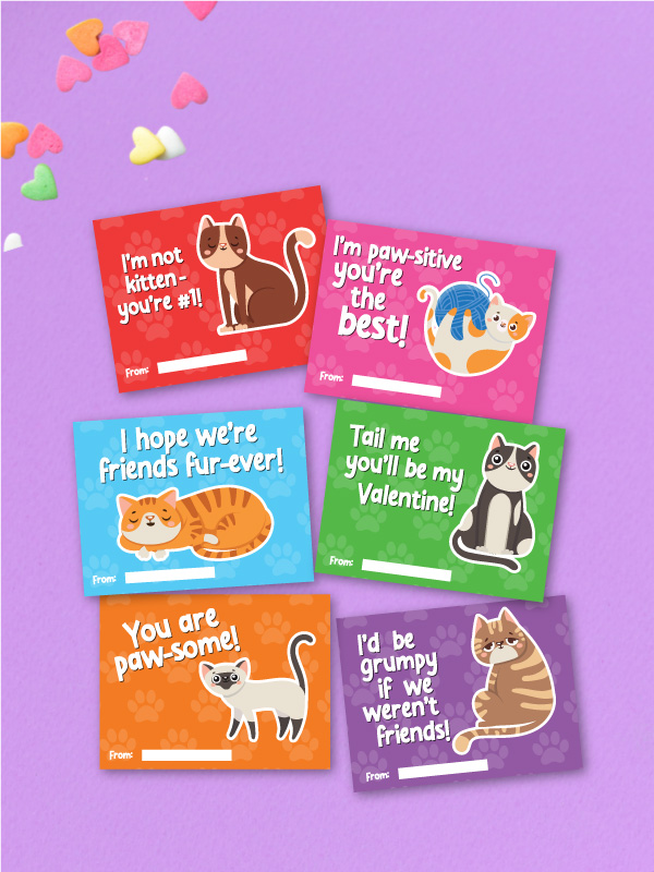 cat valentine cards image collage