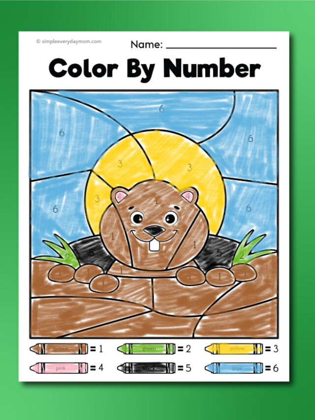 Groundhog Day Color By Number Pages For Kids [Free Printable] Story