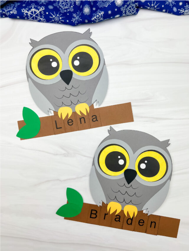 Snowy Owl Name Craft For Kids [Free Template] Story