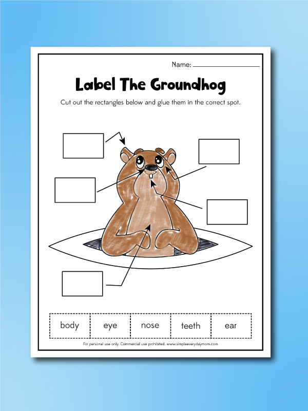 groundhog day label a groundhog worksheet