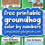 Groundhog Day color by number cover banner image