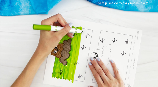 hands using markers coloring printed template of groundhog toilet paper roll craft