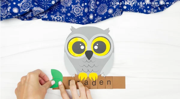 hands finishing assembly of snowy owl name craft