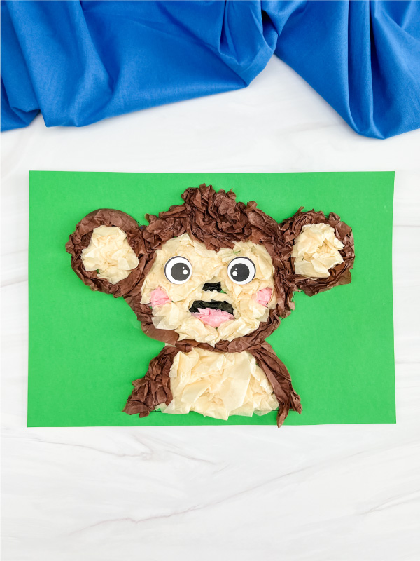 single image of finished monkey tissue paper craft