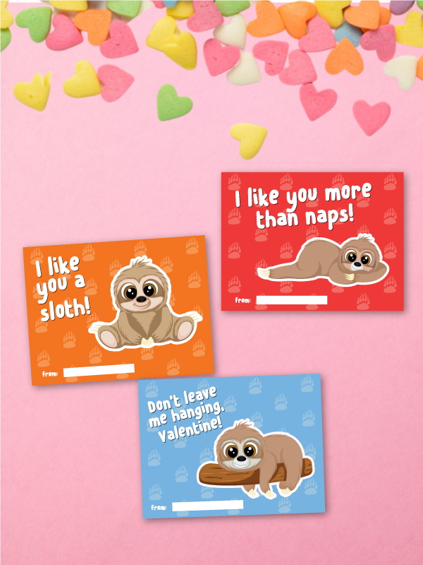 printed sloth valentine cards
