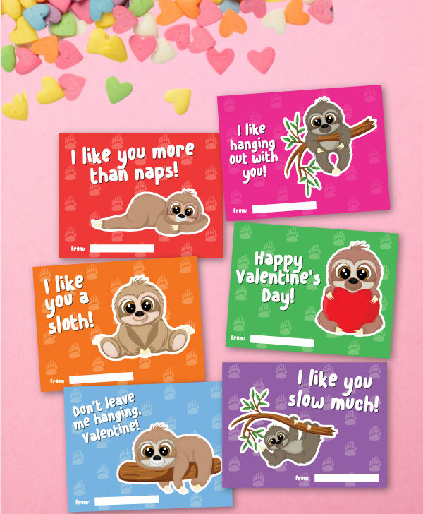 collection of sloth valentine cards