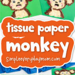 Monkey tissue paper craft cover image