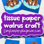 finished walrus tissue paper craft banner image