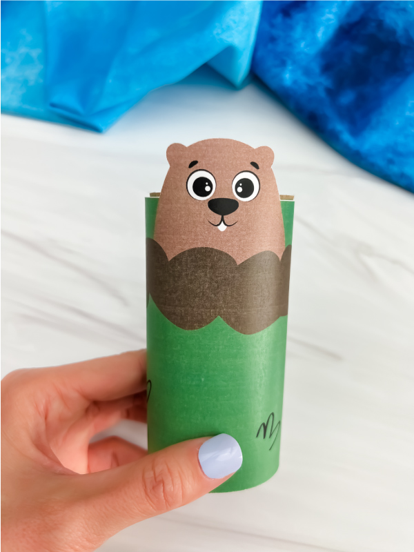 hand holding finished groundhog toilet paper roll craft