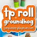 finished groundhog toilet paper roll craft cover image