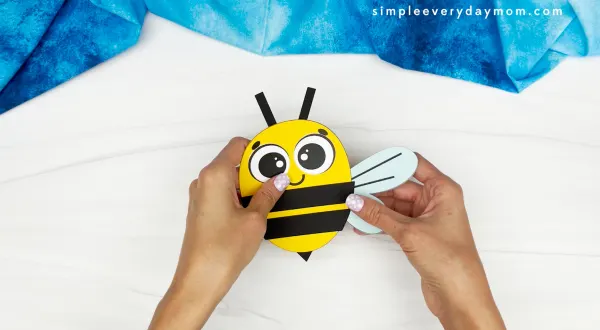 hands gluing wings onto bee body