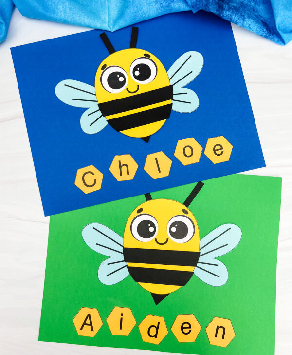 two examples of finished bee name craft