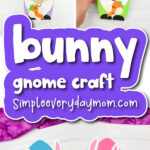 finished bunny gnome craft cover image