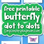 butterfly dot to dot worksheets cover image